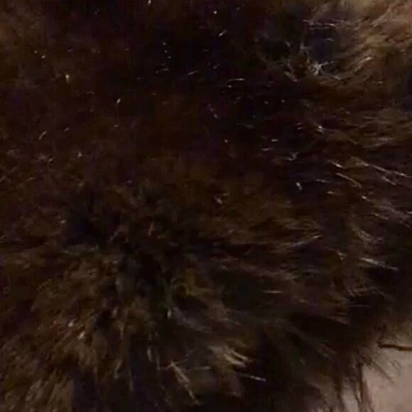 VIDEO POSTED!!! 🖤🌹Beautiful Ultra Real Faux Fur🖤🌹🖤Chocolate Brown - Picture 6 of 11